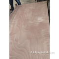 Red Oak and White Oak Slywood